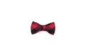 Plaid Kitten Bowtie - santo-18.test