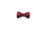 Plaid Kitten Bowtie - santo-18.test