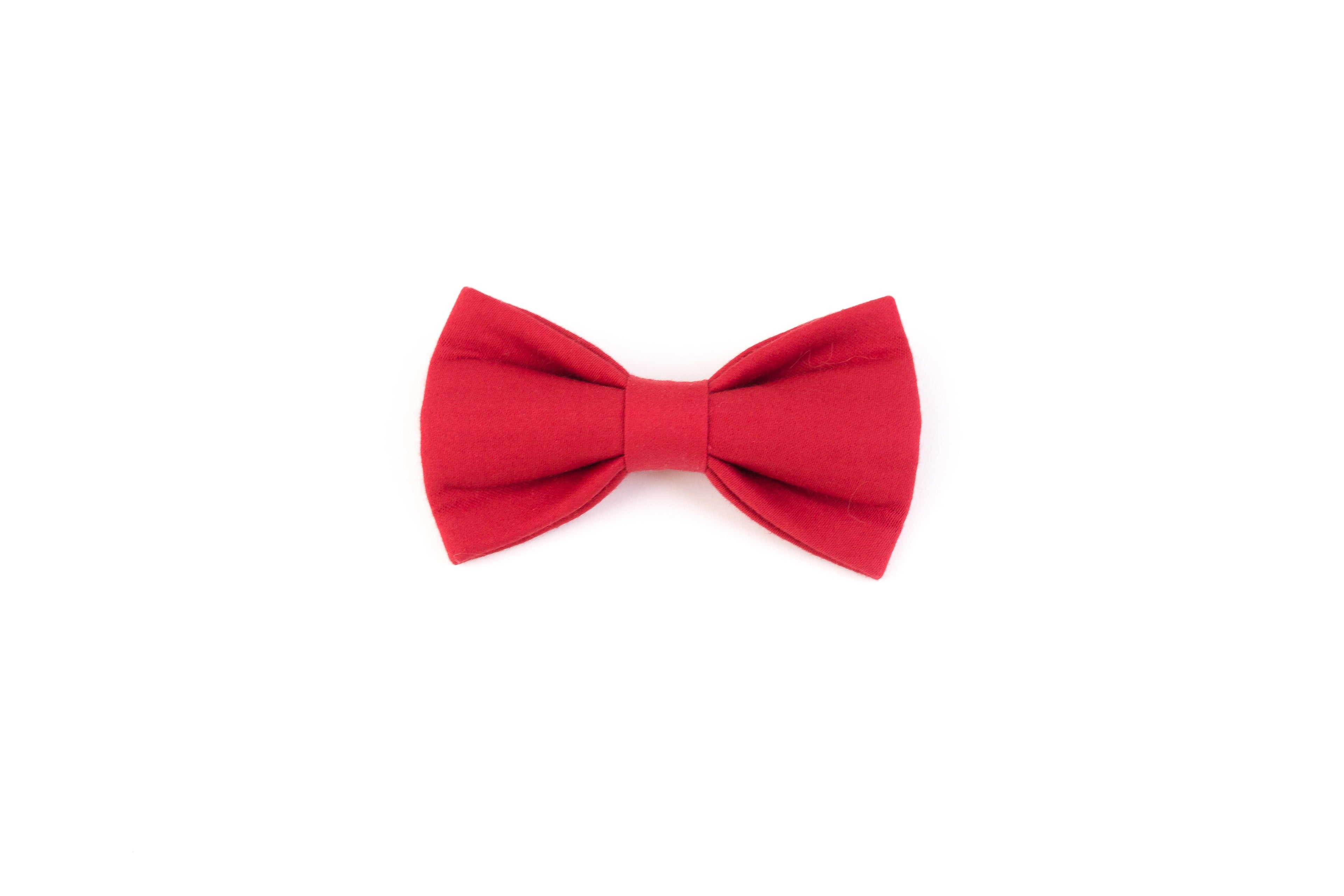 Red Pet Bowtie - santo-18.test
